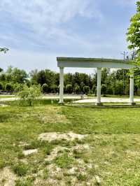 Spring Strolls at Central Park, Samarkand