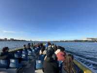 Must visit in Copenhagen: New harbor