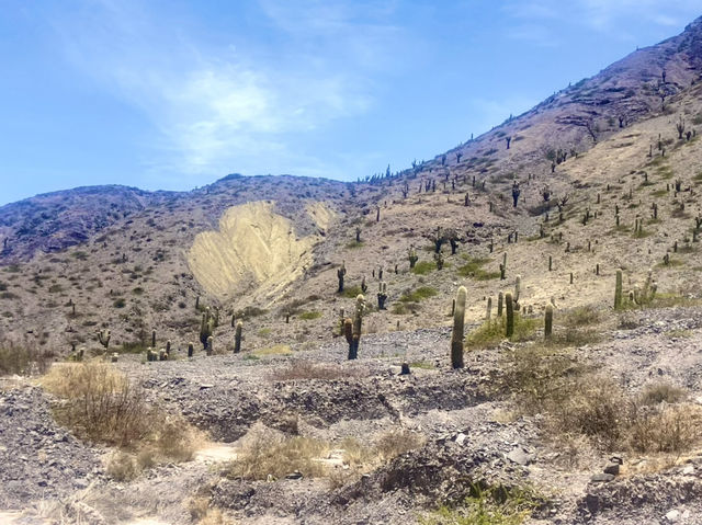 The Altitude Fix