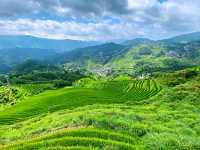🌾 Stairway to Heaven: LongJi’s Golden Rice Terraces 🌄