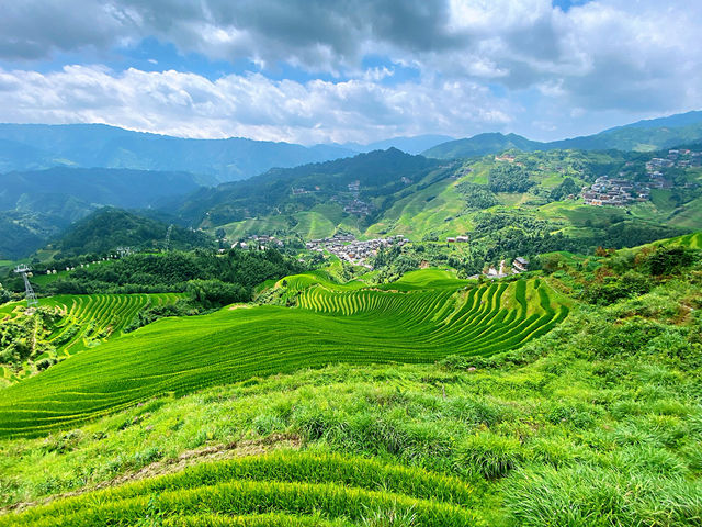 🌾 Stairway to Heaven: LongJi’s Golden Rice Terraces 🌄