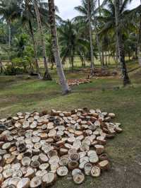 Philippines, Two Day Trip to Bohol Island