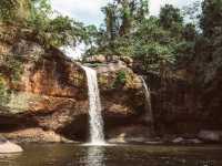 Into the Jungle: Discovering Khao Yai National Park, Thailand.