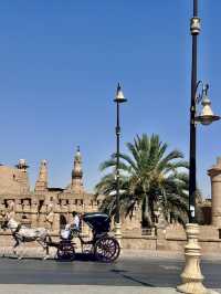 Day Trip to Luxor