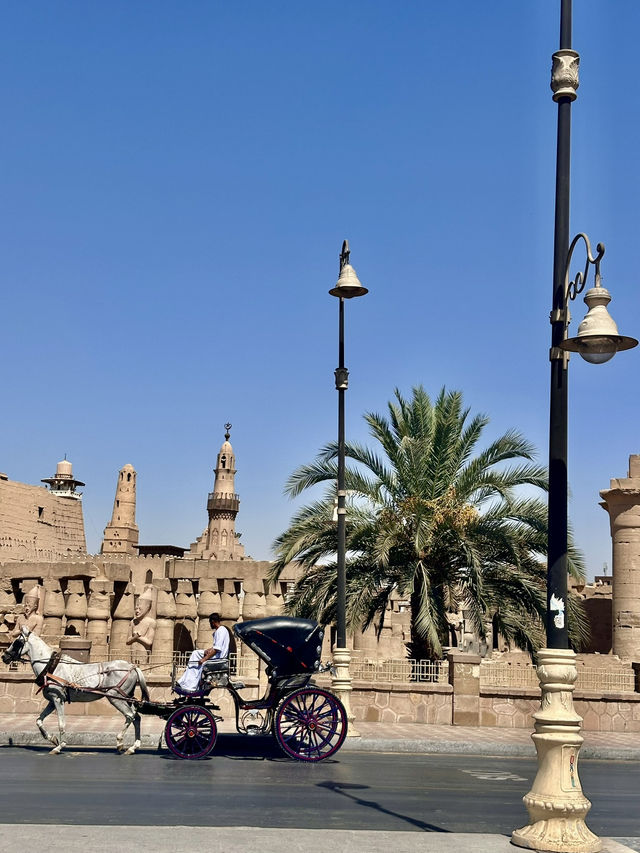 Day Trip to Luxor