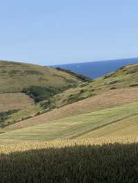 Coastal Escape: My Journey Along England’s Jurassic Coast