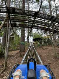 🏔️ Datanla New Alpine Coaster: When Mountains Whisper 'Slide Down' With Wind
