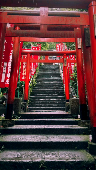 ⛩️ Path of the Vermilion Gates – Sasuke Inari Shrine, Kanagawa