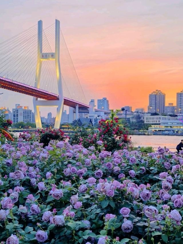 🌆 City of Contrasts and Lights – Shanghai, China