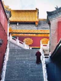 ⛰️ Mount Wutai – The Sacred Peaks of Buddhist Serenity