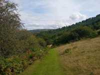 A walk to the summit of Tor y Foel starting in Talybont on Usk