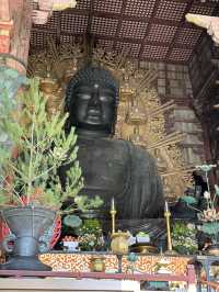 Step Into Ancient Majesty: A Nara Day at Todai-ji