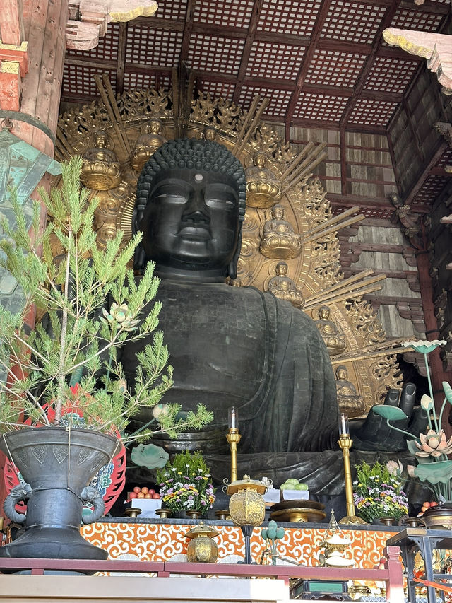 Step Into Ancient Majesty: A Nara Day at Todai-ji