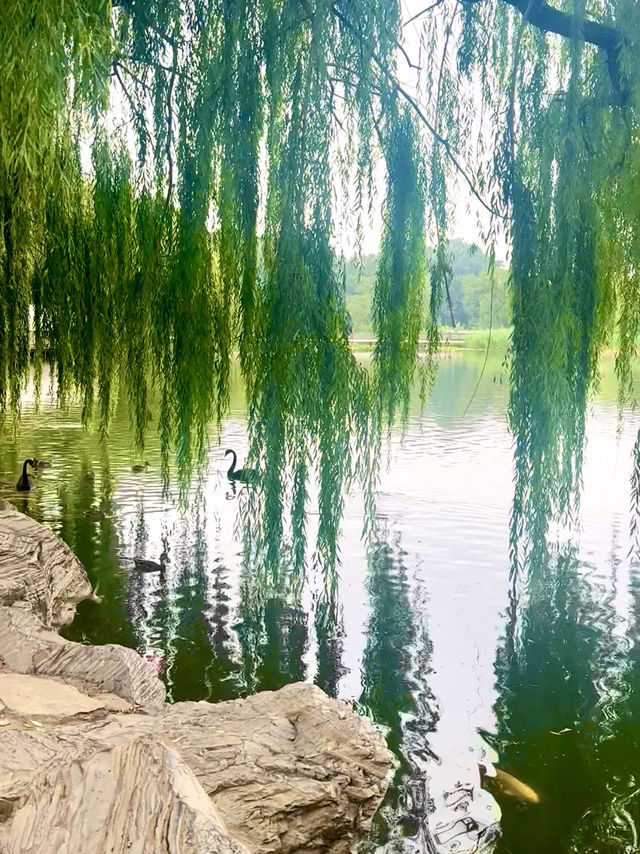 Beijing isn’t just the Forbidden City, visit this place! 