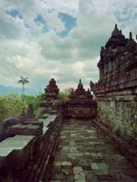 History Among Stupas🏯