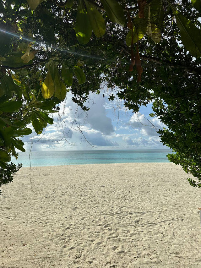 Cocoon Maldives — Where Modern Luxury Meets Barefoot Paradise