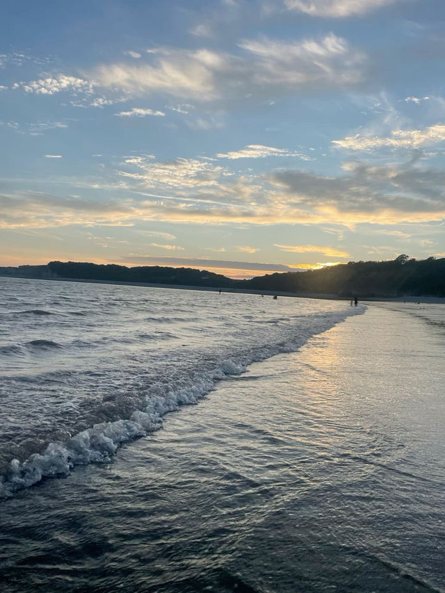 𝑪𝒂𝒓𝒅𝒊𝒇𝒇 𝑪𝒂𝒍𝒍𝒊𝒏𝒈 - 𝑾𝒉𝒆𝒓𝒆 𝑪𝒂𝒔𝒕𝒍𝒆 𝑾𝒂𝒍𝒍𝒔 𝑴𝒆𝒆𝒕 𝑪𝒐𝒂𝒔𝒕𝒂𝒍 𝑽𝒊𝒃𝒆𝒔 𝑪𝒂𝒓𝒅𝒊𝒇𝒇 𝑪𝒂𝒍𝒍𝒊𝒏𝒈 - 𝑾𝒉𝒆𝒓𝒆 𝑪𝒂𝒔𝒕𝒍𝒆 𝑾𝒂𝒍𝒍𝒔 𝑴𝒆𝒆𝒕 𝑪𝒐𝒂𝒔𝒕𝒂𝒍 𝑽𝒊𝒃𝒆𝒔