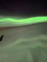 Snowy Forest Dream🌲