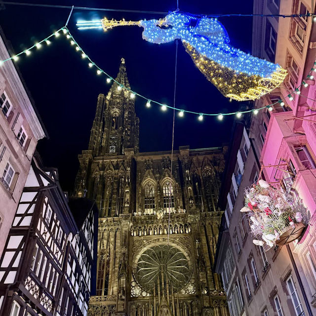 Cathédrale Notre Dame de Strasbourg Cathédrale Notre Dame de Strasbourg