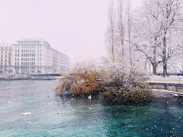 đ¸ Spring Serenity in Geneva: A Short Escape to Switzerlandâs Lakeside Jewel đ¨đ
