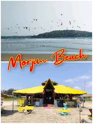 Morjim: the main Russian beach of Goa