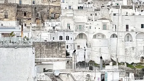 Ostuni: เมืองสีขาวที่เที่ยวได้ง่ายๆ ในวันเดียว — traveler post in Ostuni
