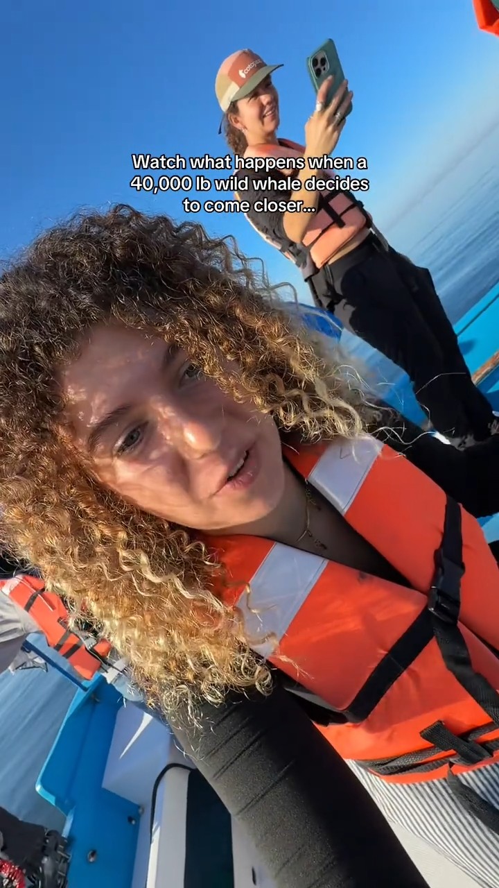 Watch what happens when a 40,000‑lb wild whale decides to come closer...