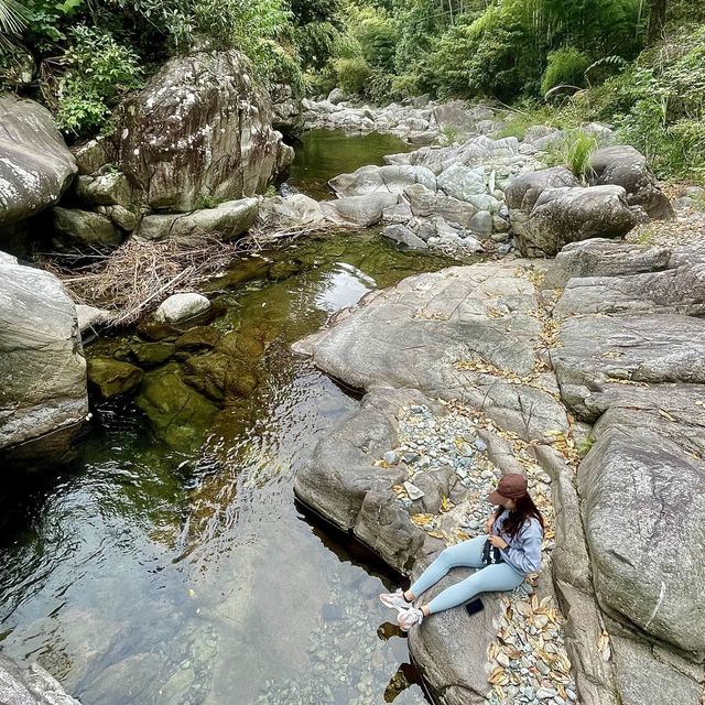 HUANGSHAN WILD MONKEY VALLEY 