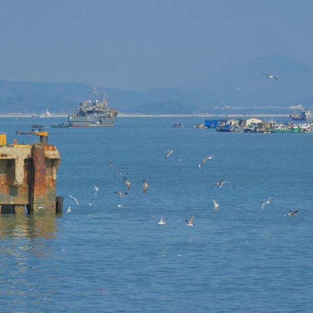 打卡福建漳州東山島