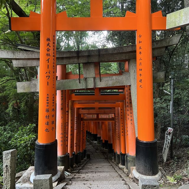 Hike through a thousand inscribed gates 😍