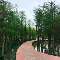 Miracle Garden Shanghai | Near Metro line 8 