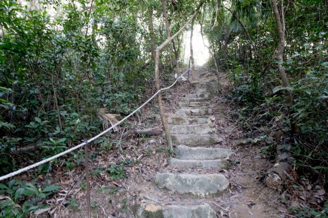 西灣河後山小徑．一小時散步之旅