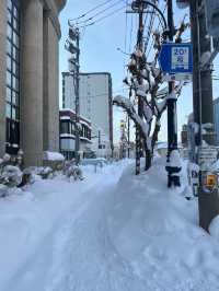 日本北海道|雪國圓夢