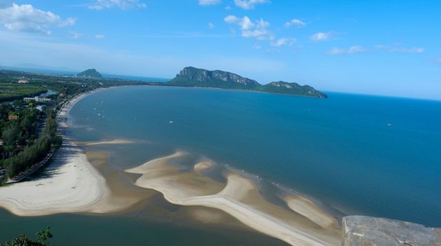 震撼！東極島的海洋生物竟然如此豐富，你知道嗎？