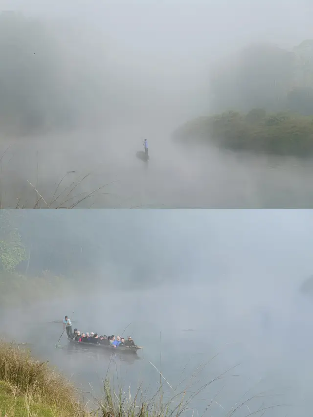 狂野奇特旺，叢林裡追逐遺產級的亞洲獨角犀牛