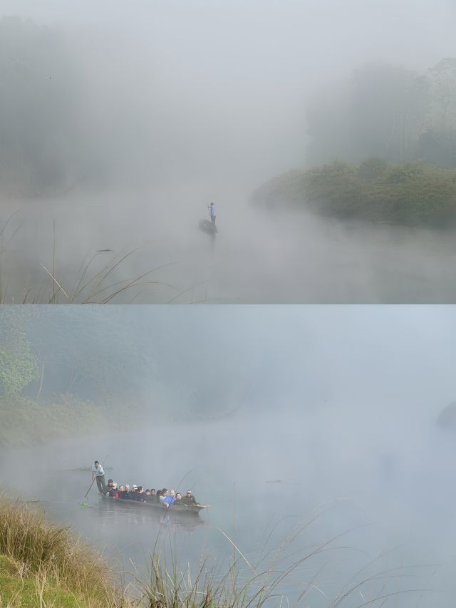 狂野奇特旺,叢林裡追逐遺產級的亞洲獨角犀牛 狂野奇特旺,叢林裡追逐遺產級的亞洲獨角犀牛