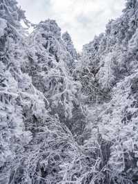 “雲上雪原”道場坪｜華東名山錄