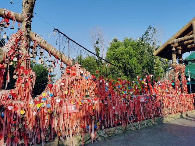 一個充滿多巴胺色彩的樂園丨融創樂園 一個充滿多巴胺色彩的樂園丨融創樂園