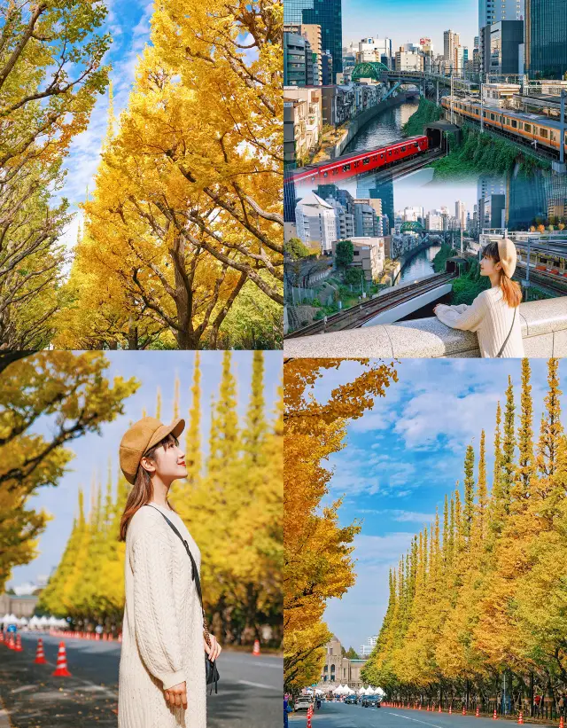 โตเกียวที่สวยที่สุดของถนน Gingko & การเดินทางศักดิ์สิทธิ์ของ 'Bell Sprout'