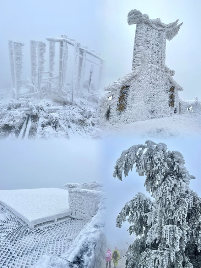 廣東也能看雪？這 6 個賞雪好去處快收好！