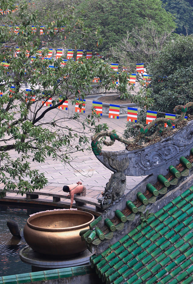 鼎湖山｜來一次洗肺之旅