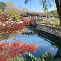 秋色甚好，深秋一定得來一次東園