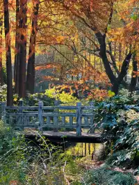 不是在京都，而是在魔都上海市中心