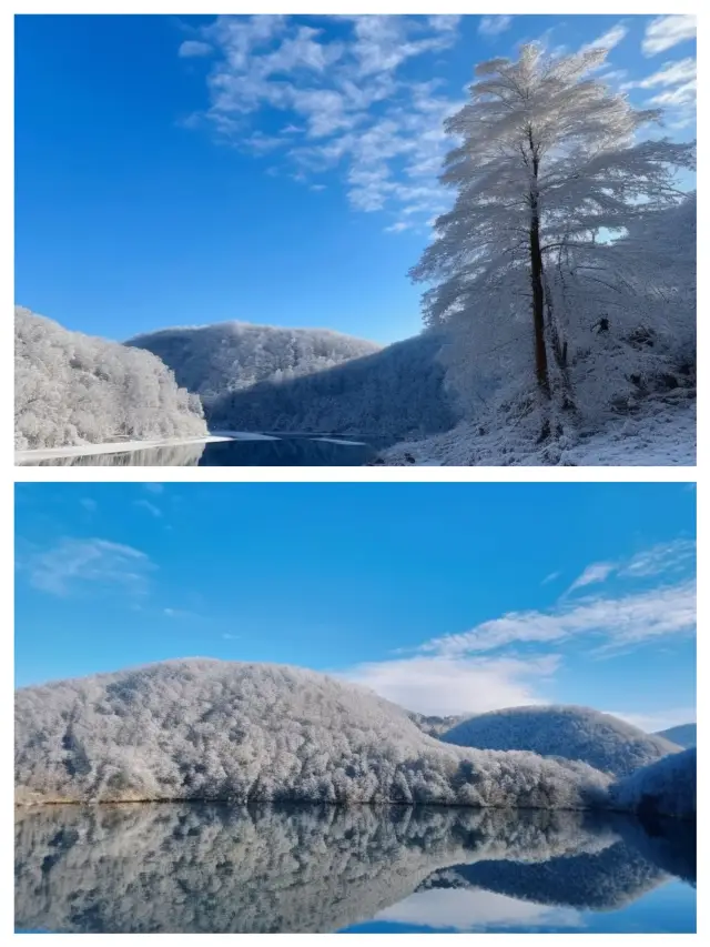 ฤดูหนาวที่เซินหนงเจีย ~ สวรรค์ที่ถูกปกคลุมด้วยหิมะสีขาว