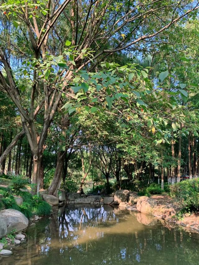 今日份良渚遛娃|美麗洲公園也太美了吧