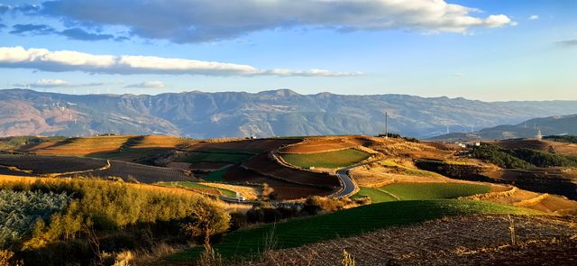 昆明東川紅土地