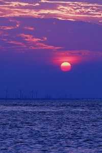 小眾的島嶼，人少景美，在上海免費看大海
