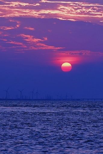 小眾的島嶼，人少景美，在上海免費看大海