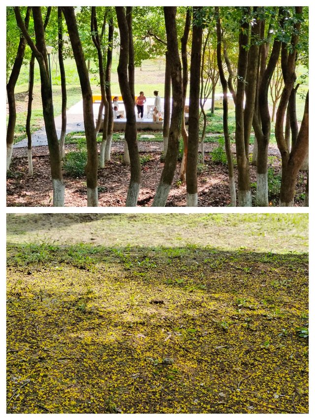 南京週末遊，解鎖浦口象山湖公園