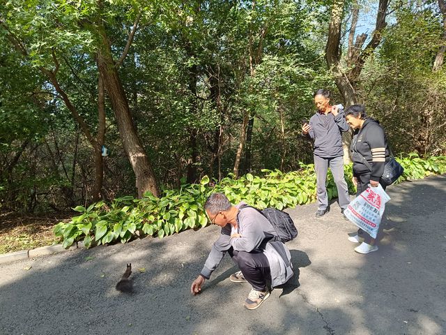 龍首山半日遊